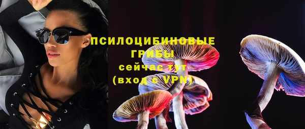спайс Богданович