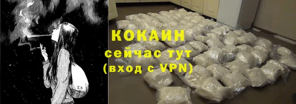 спайс Богданович