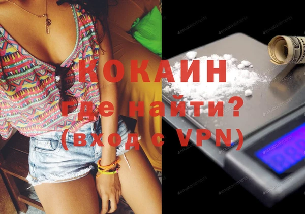 спайс Богданович