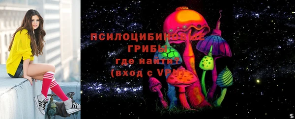 гашиш Богородицк
