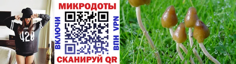Псилоцибиновые грибы ЛСД Михайловка